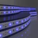 Лента светодиодная Elektrostandard 60Led 14,4W IP20 синий (5050 24V 60Led 14,4W IP20)
