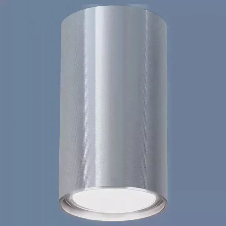 Накладной светильник Elektrostandard 1081 a038491-0