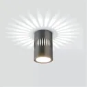 Накладной светильник Elektrostandard DLS025 4690389169786