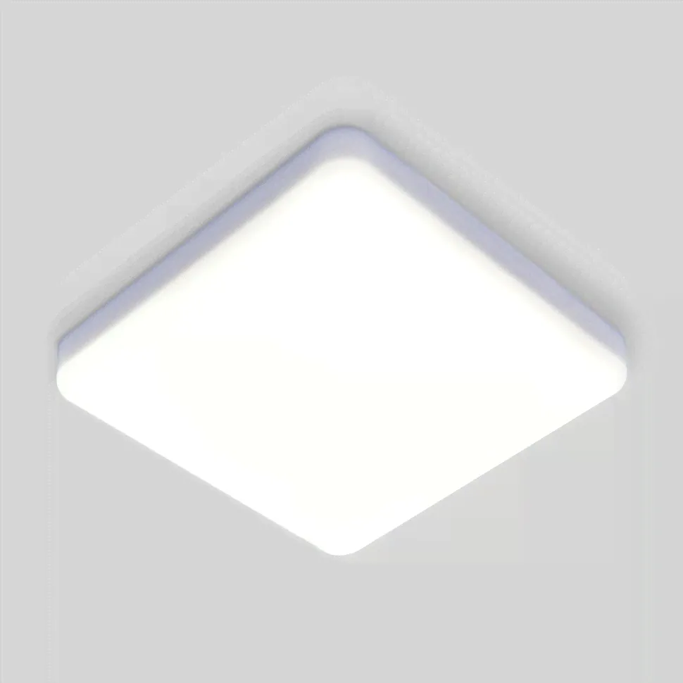 Потолочный светильник Elektrostandard DLS043 10W 4200K a047941