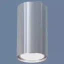 Накладной светильник Elektrostandard 1081 a038491