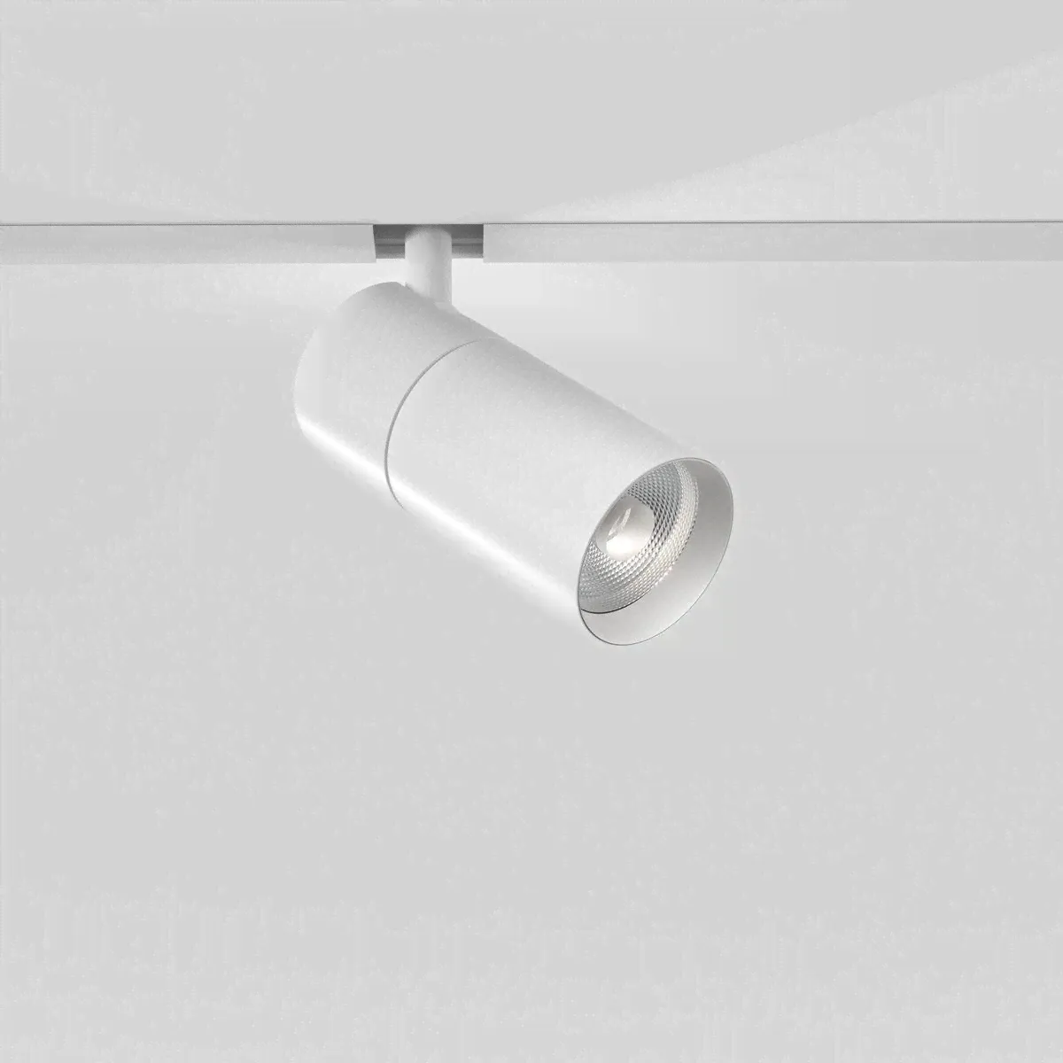 Светильник трековый Elektrostandard Slim Magnetic 85011/01 a061235-0